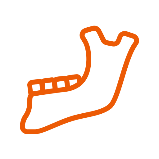 Temporomandibular Joint