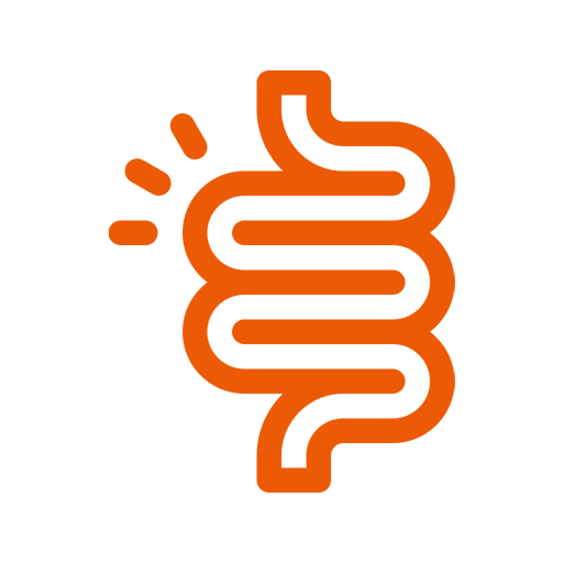 Digestive System